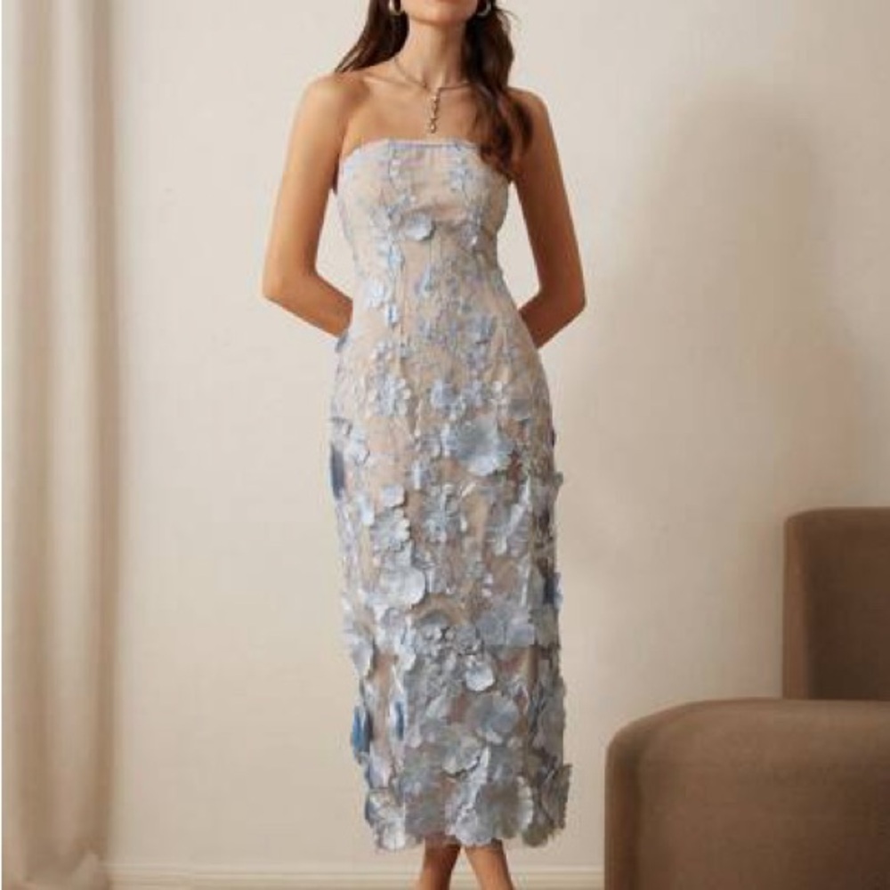 Aveloria Rosie Women's Embroidered 3D Floral Bandeau Midi Dress, For Party/Date